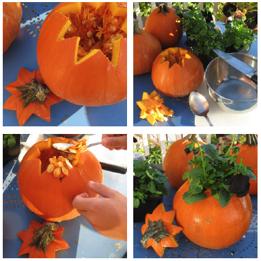 Pumpkin Blog entry This sweet little Fall Centerpiece was super easy and 